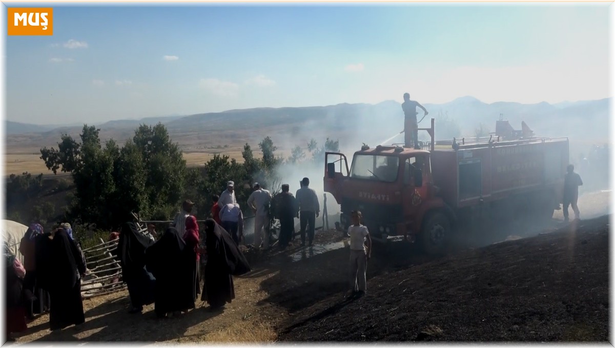Muş'ta elektrik tellerinin genleşmesi sonucu çıkan yangında 1 kişi yaralandı