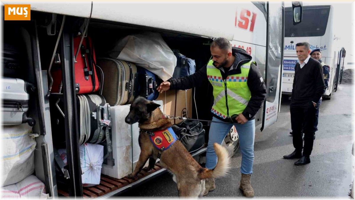 Muş'ta emniyet kemeri denetimi