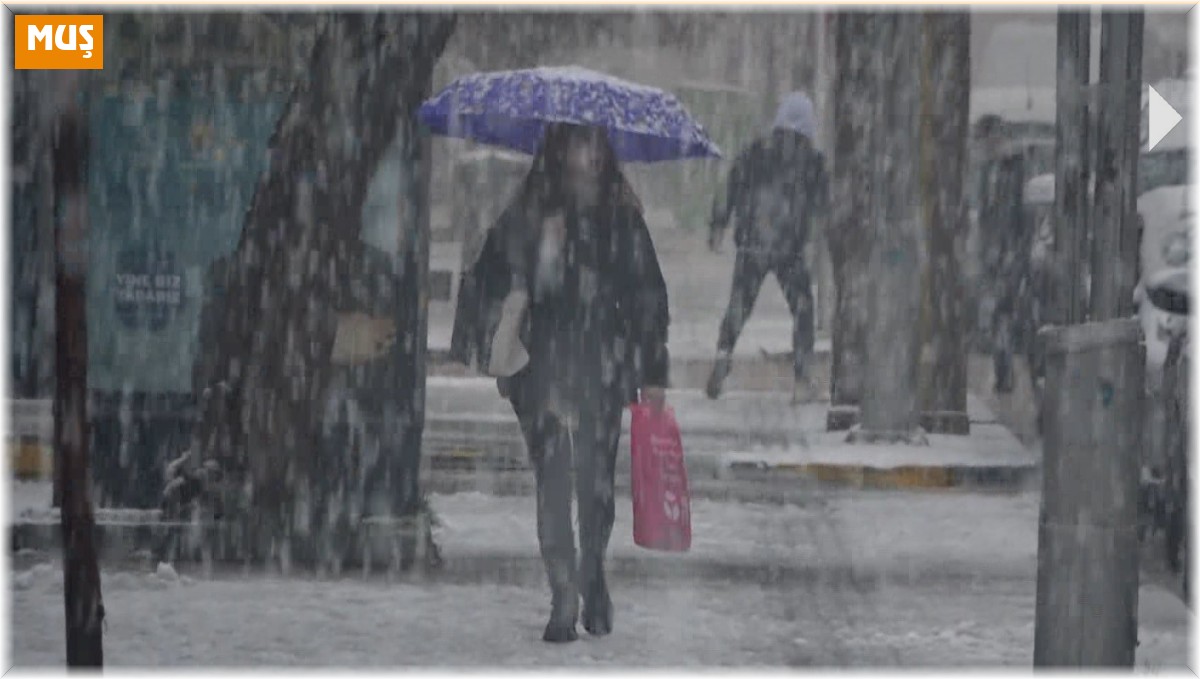 Muş'ta etkili olan kar yağışı 102 köy yolunu ulaşıma kapattı