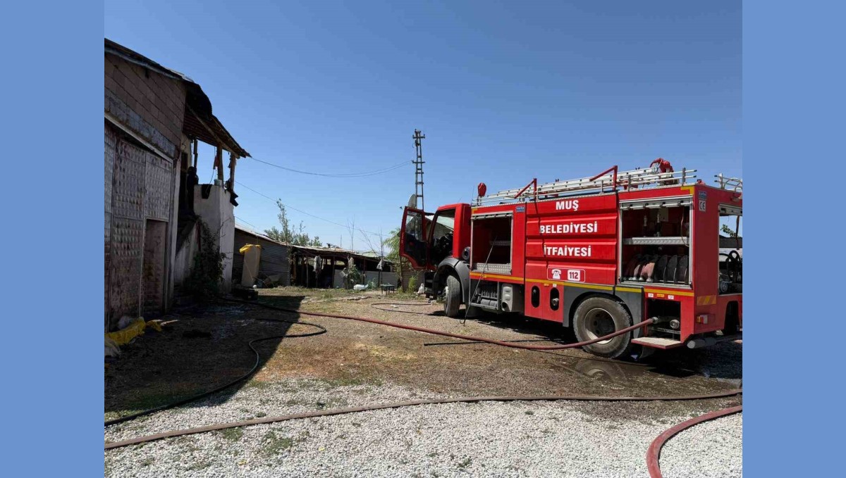 Muş'ta ev ve samanlık yangını