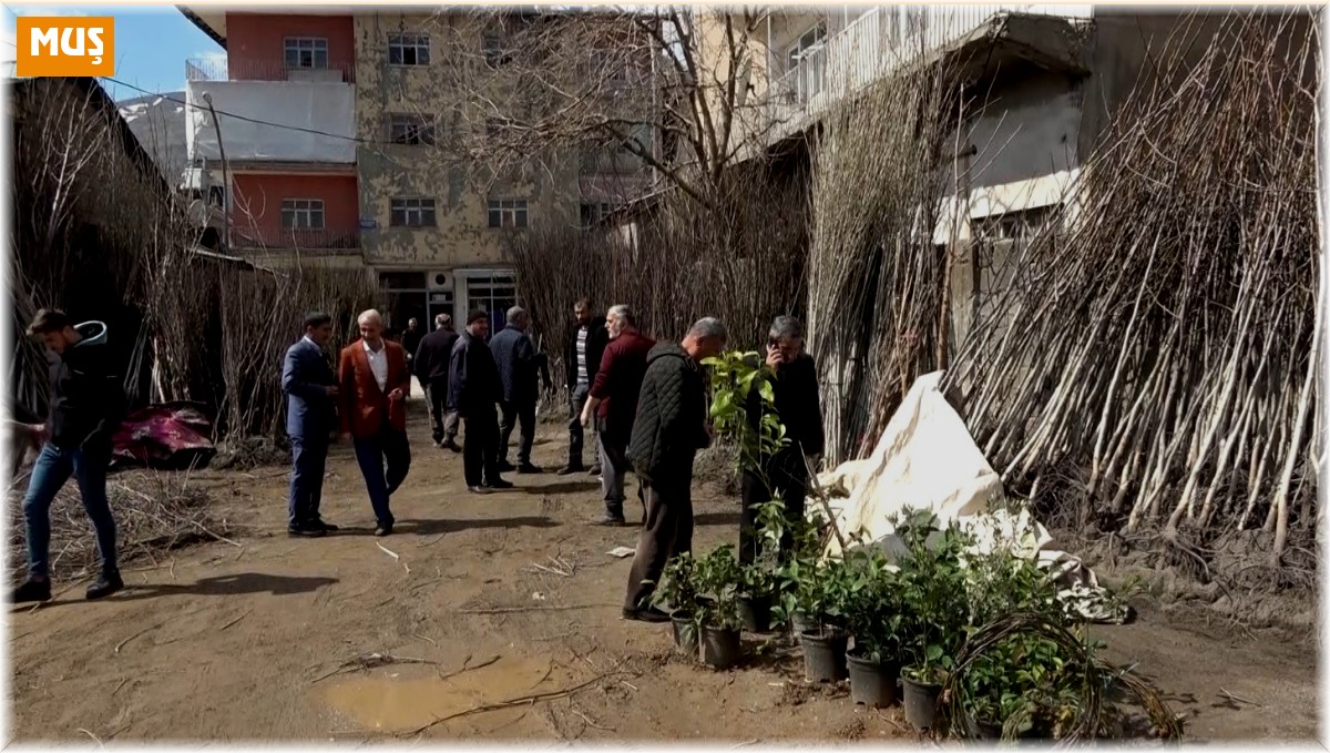 Muş'ta fidan satışları başladı