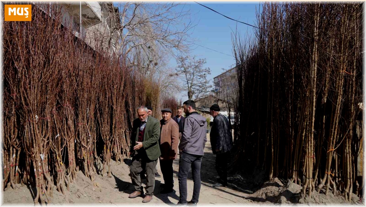 Muş'ta fidan satışları başladı