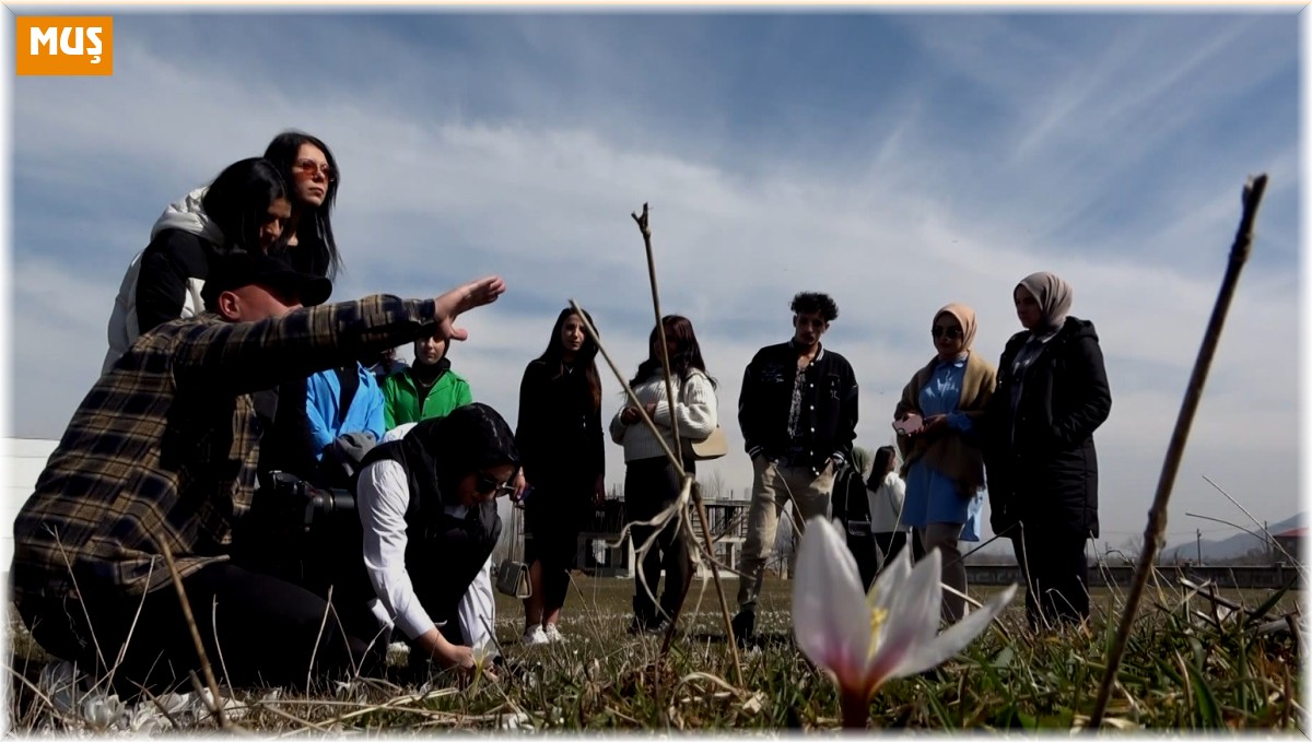 Muş'ta fotoğrafçılar kardelenlerin güzelliğini objektiflerine taşıdı