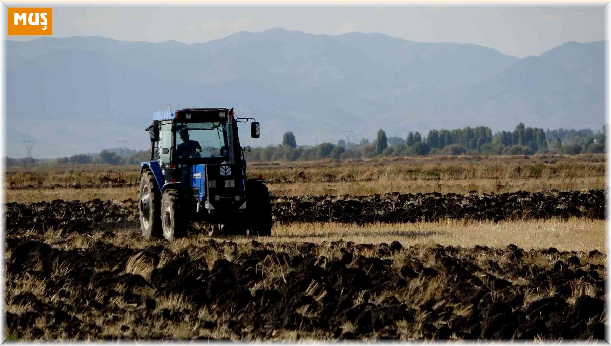 Muş'ta güzlük tahıl ekimine başlandı