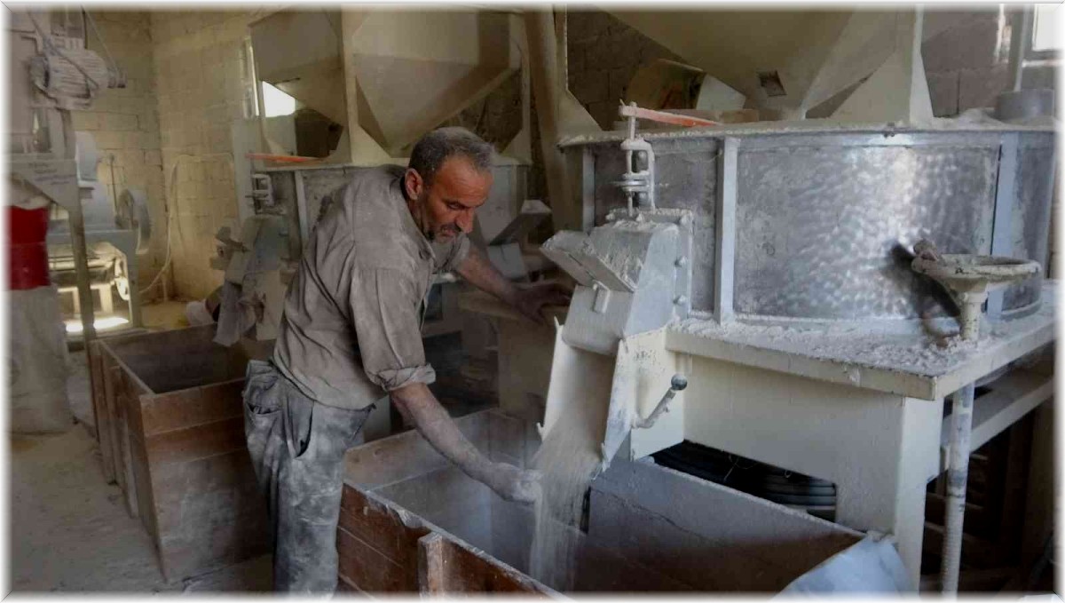 Muş'ta hasadı yapılan buğday değirmenlerde öğütülüyor