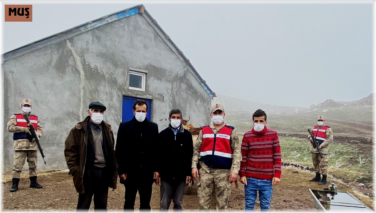 Muş'ta hayvan hırsızlığı yapan bir kişi tutuklandı