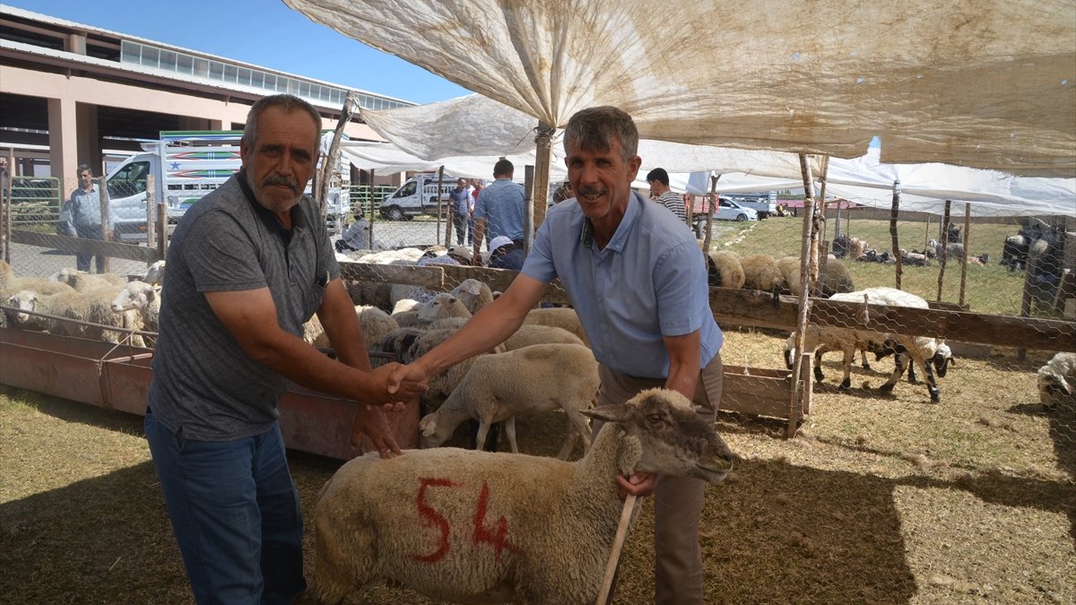 Muş'ta hayvan pazarında hareketlilik arttı
