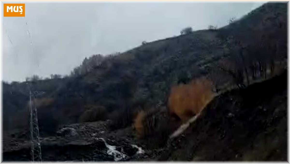 Muş'ta heyelan köy yolunu ulaşıma kapattı