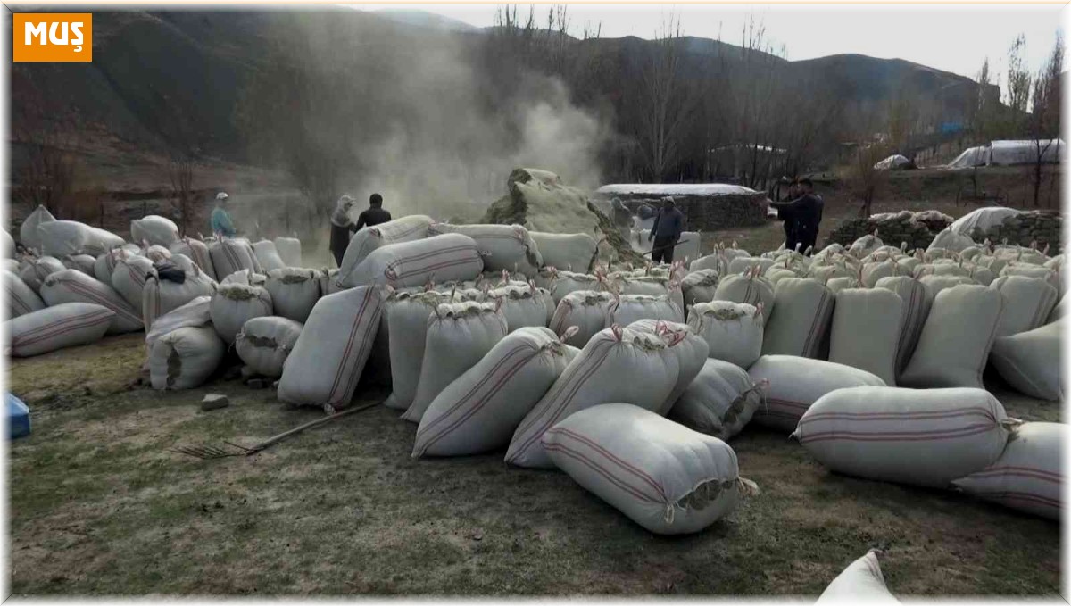 Muş'ta ihtiyaç fazlası saman çevre illere gönderiliyor