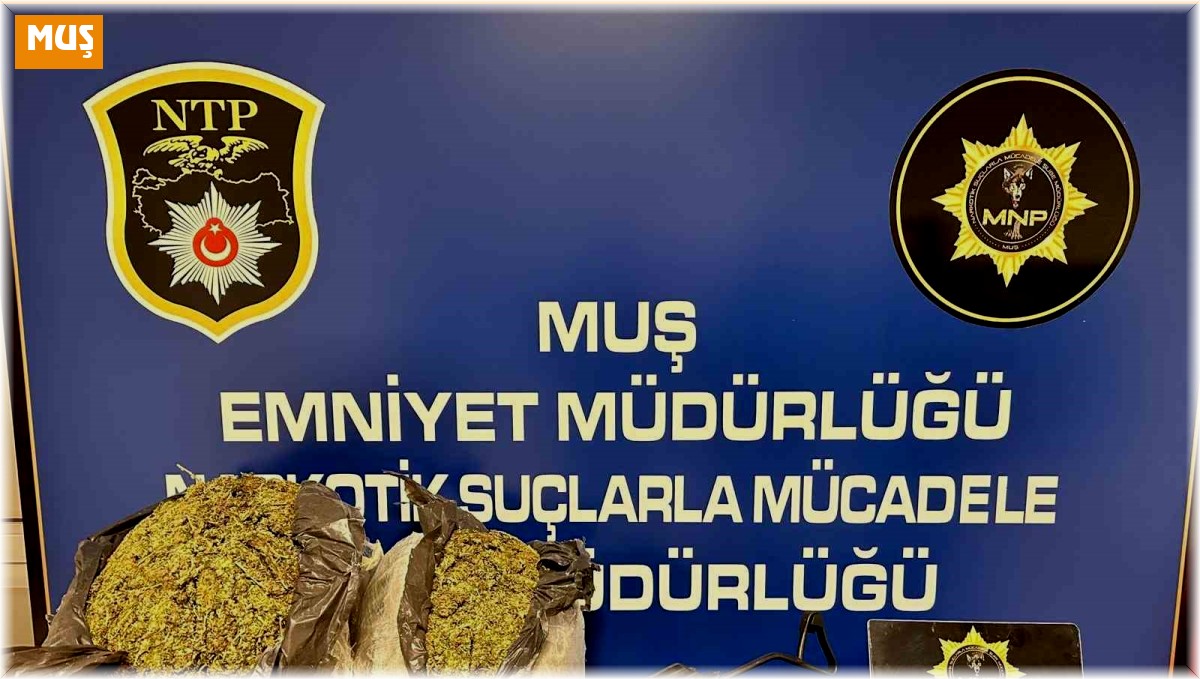 Muş'ta iki araçta silah ve uyuşturucu ele geçirildi