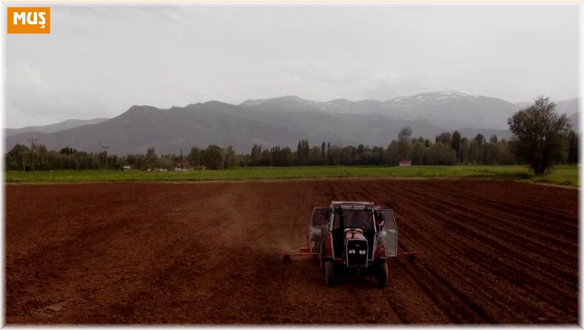 Muş'ta ilk defa silajlık soya ekimi yapıldı