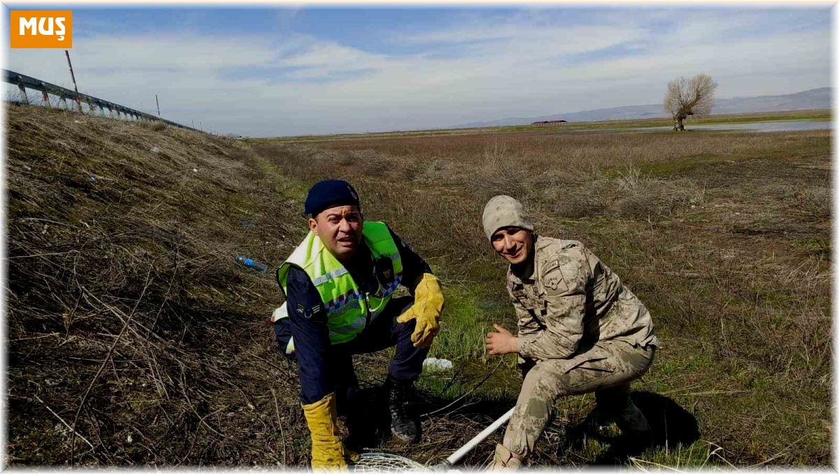 Muş'ta jandarma ekipleri avcıların yaraladığı kartalı kurtardı