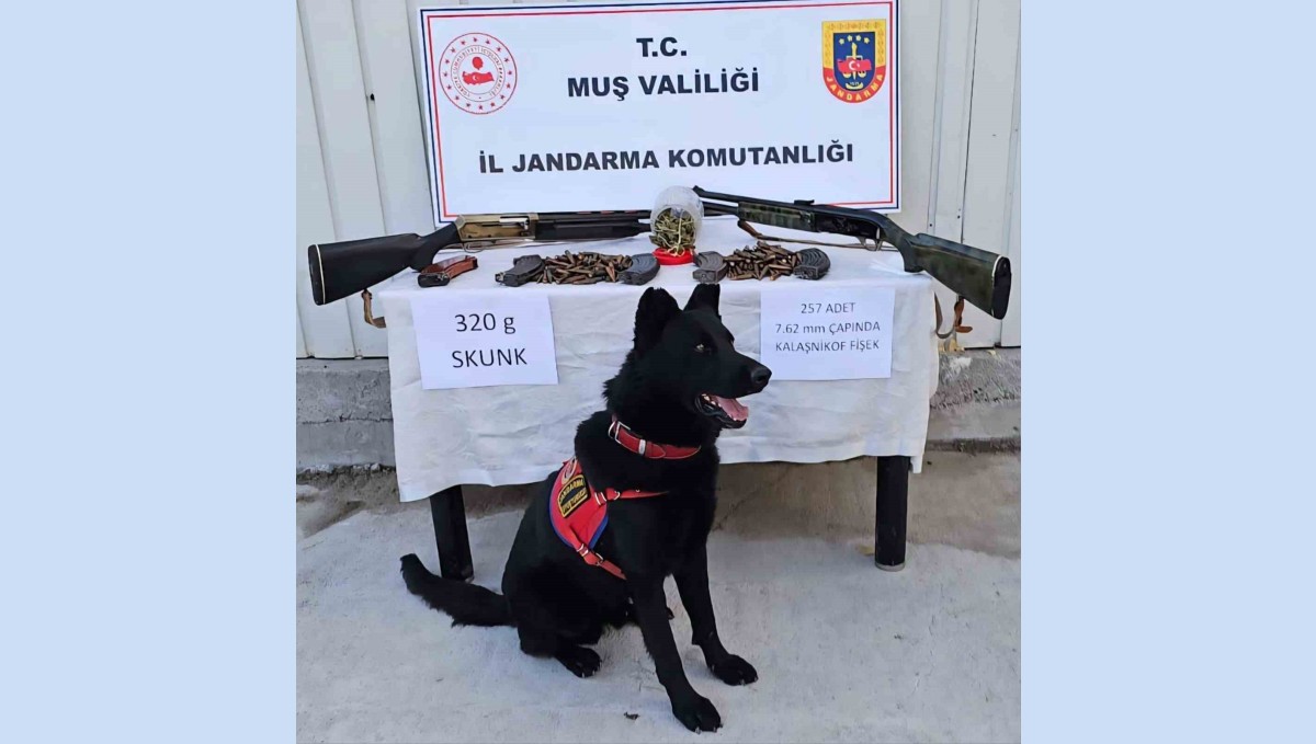 Muş'ta jandarmadan uyuşturucu ve silah operasyonu