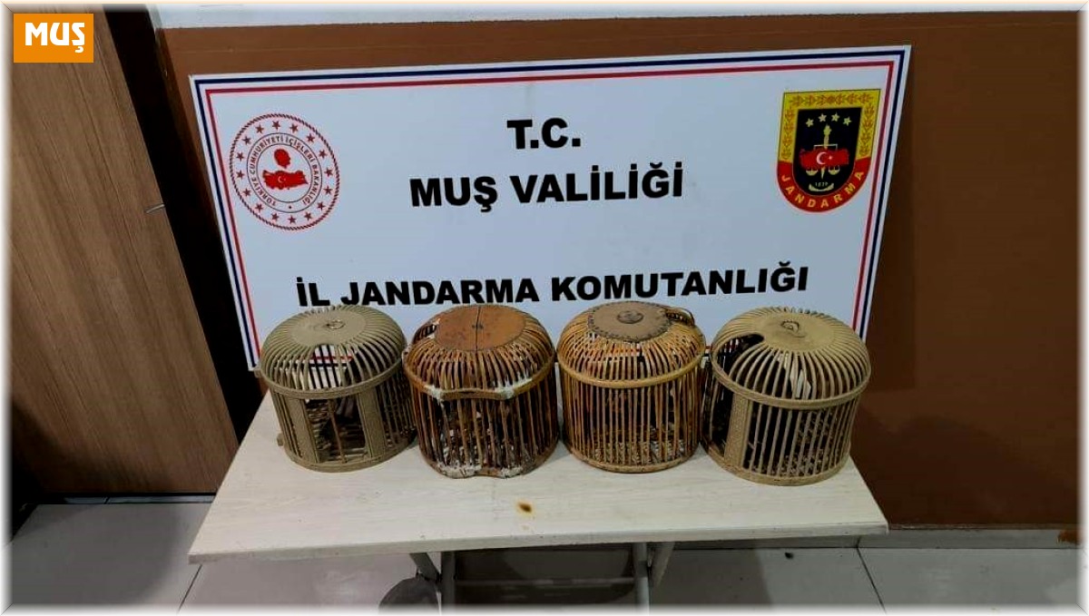 Muş'ta kaçak avcılar jandarmaya takıldı