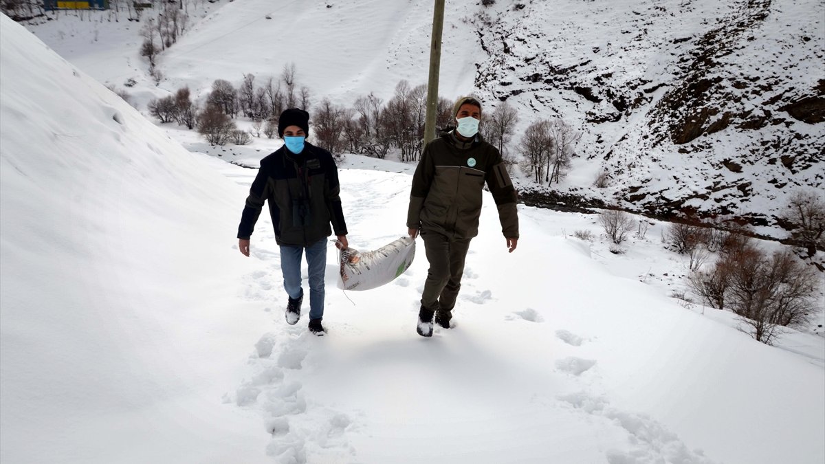 Muş'ta kanatlı hayvanlar için doğaya yem bırakıldı