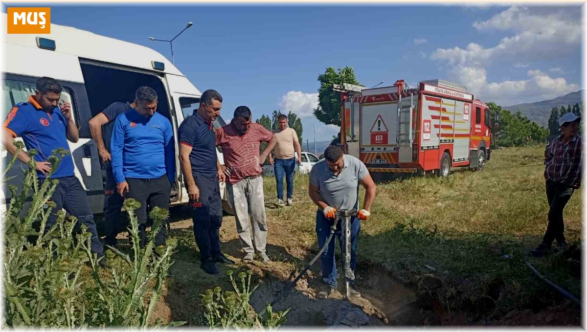 Muş'ta kapağı çalınan menhole düşen inek 2 saatlik çalışma sonucu kurtarıldı