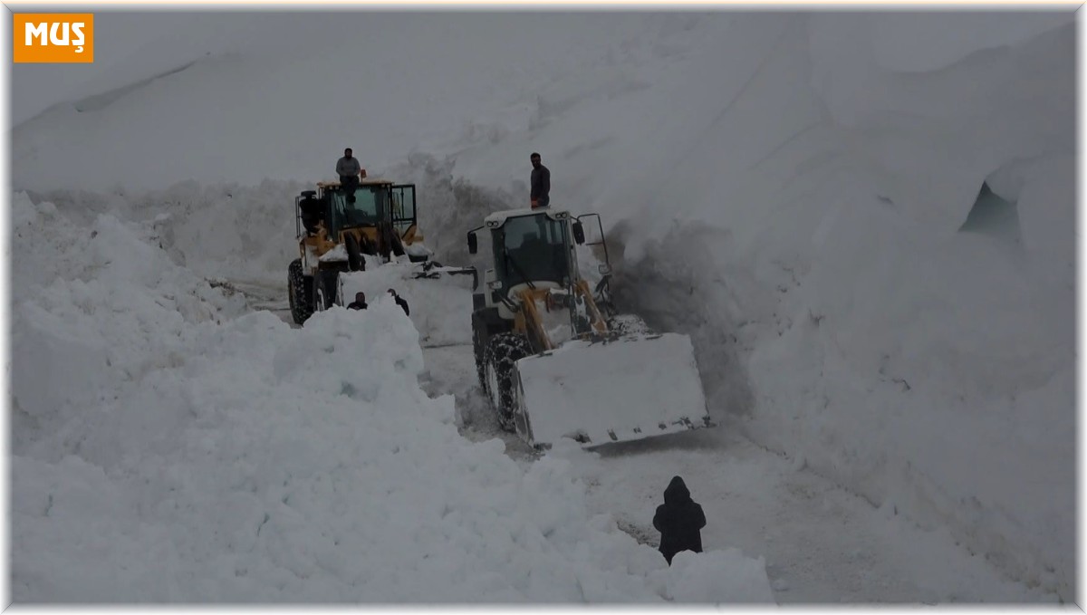 Muş'ta kar kalınlığı 4 metreye ulaştı