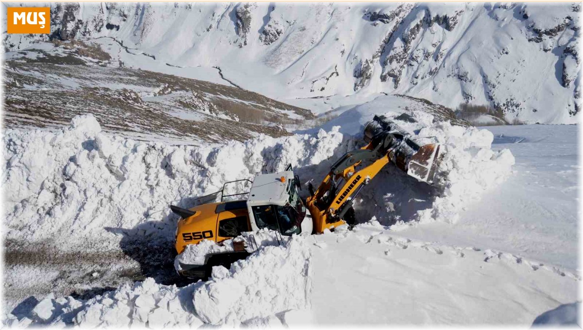 Muş'ta kar kalınlığının 7 metreyi bulduğu yolda çalışma