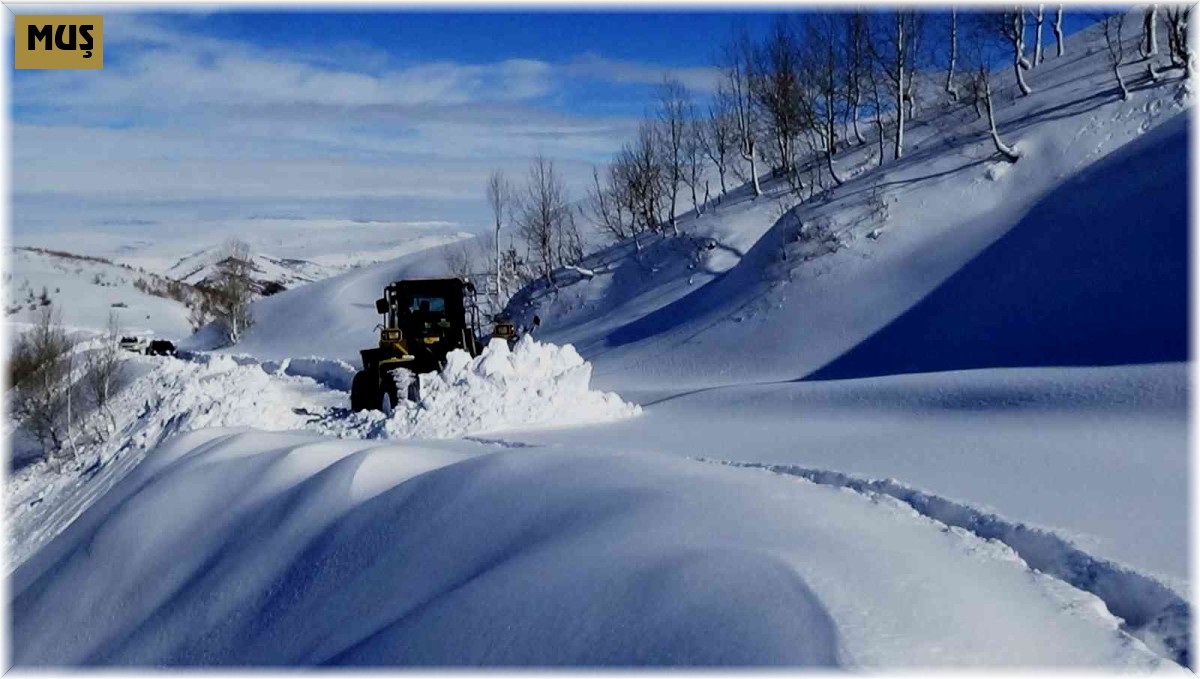 Muş'ta kar kaplanları 11 bin 500 kilometre karla mücadele yaptı