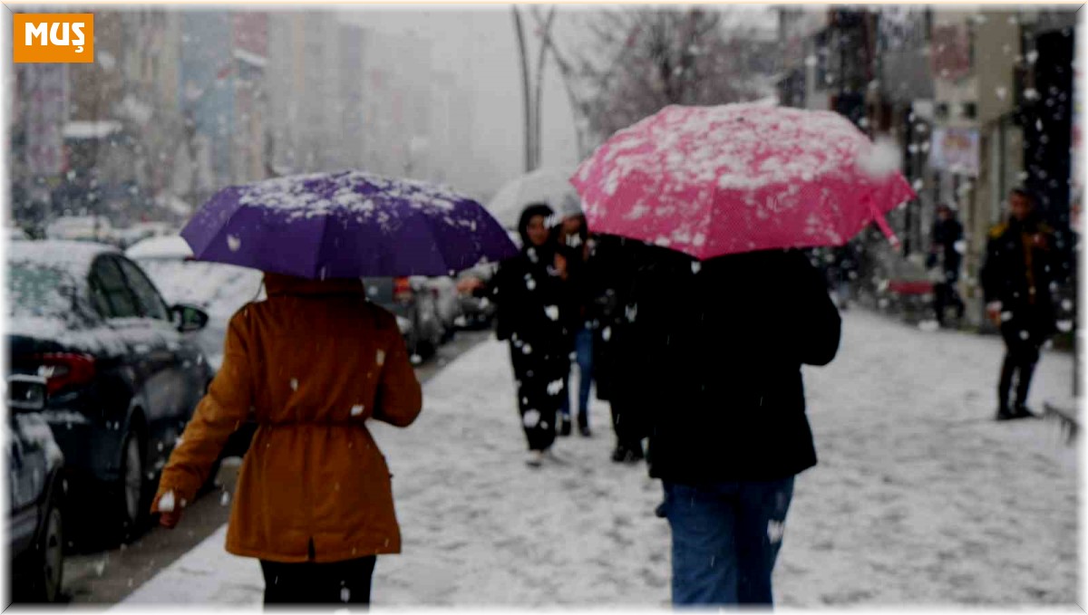 Muş'ta kar yağışı