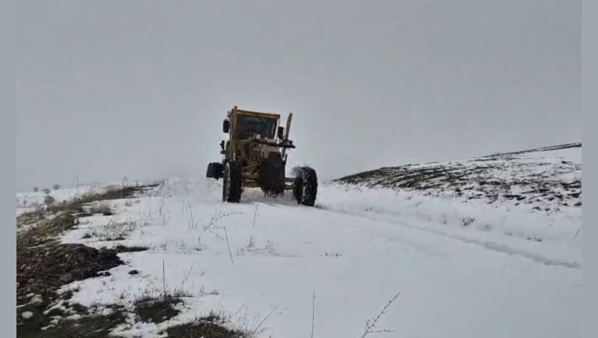 Muş'ta kar yağışı: 55 köy yolu ulaşıma kapandı