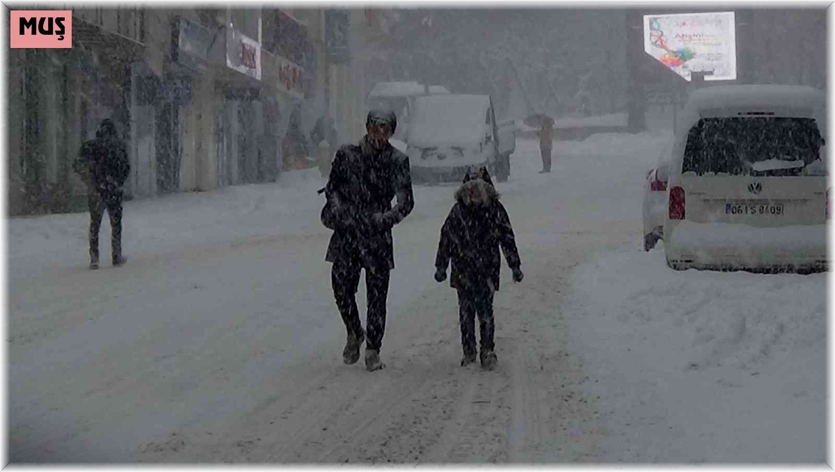 Muş'ta kar yağışı