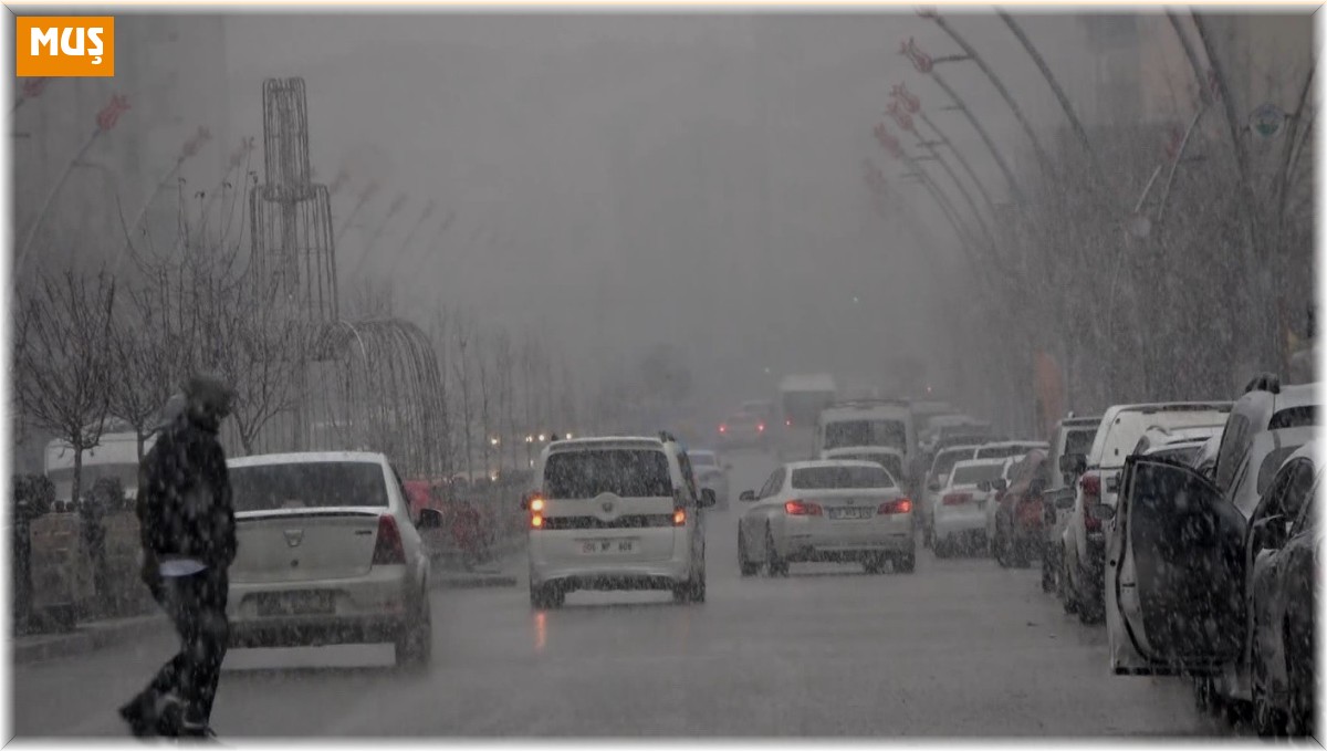 Muş'ta kar yağışı sevinçle karşılandı