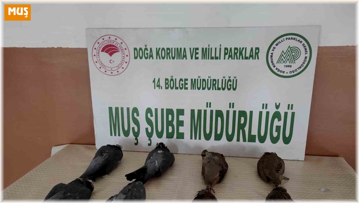 Muş'ta keklik avlayan 2 kişiye 42 bin 946 TL para cezası