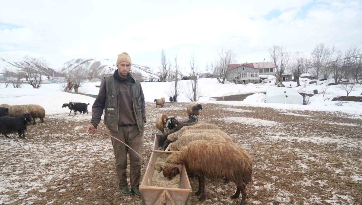 Muş'ta kış ve bahar aynı anda yaşanıyor