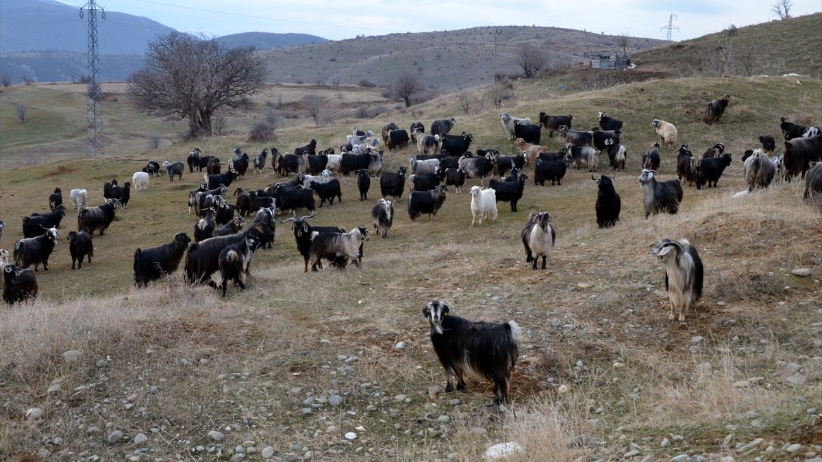 Muş'ta köylerin alt yapısına 45 milyon 500 bin lira harcandı