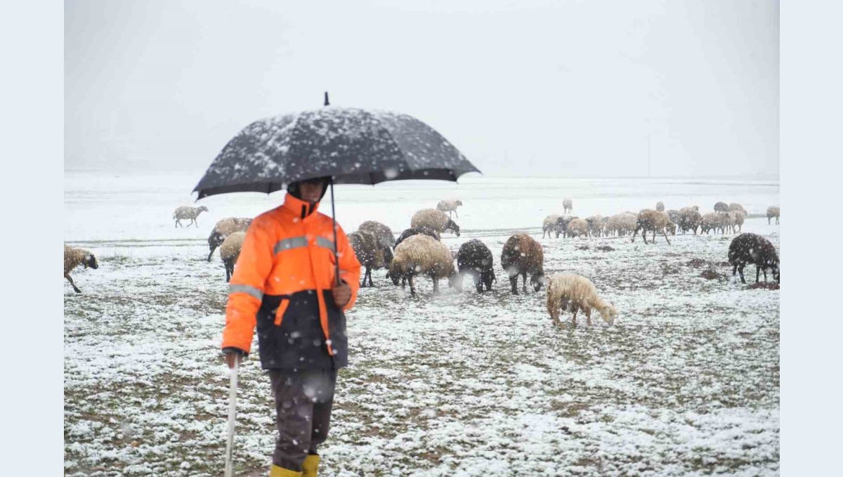 Muş'ta küçükbaş hayvanlar kar ve tipiye yakalandı