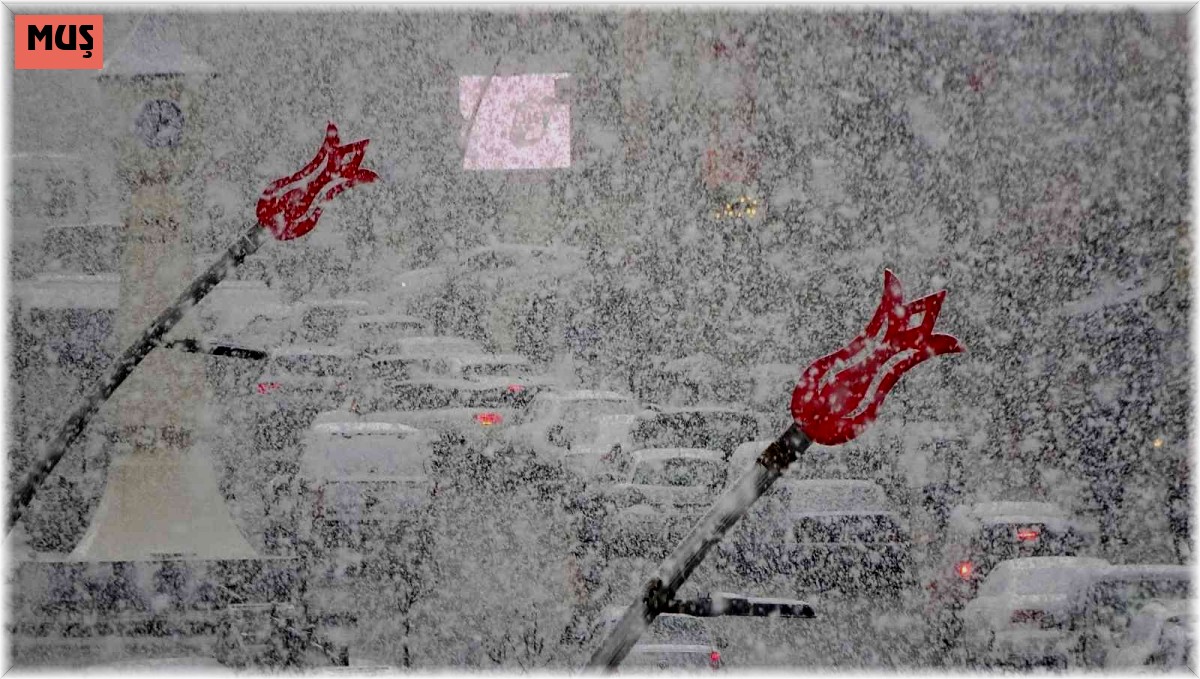 Muş'ta lapa lapa kar yağışı renkli görüntüler oluşturdu