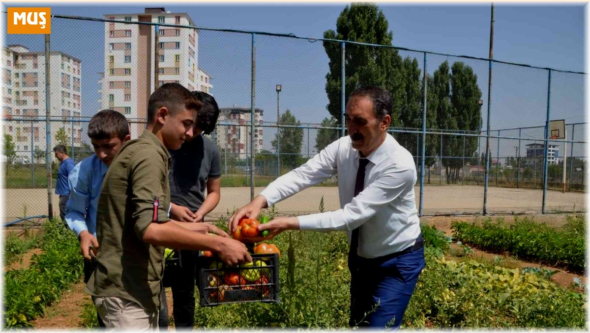 Muş'ta okul bahçesinde yetiştirilen sebzeler ihtiyaç sahiplerine dağıtılıyor
