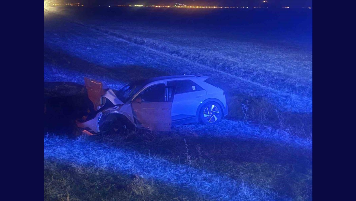 Muş'ta otomobil yola çıkan ineğe çarptı