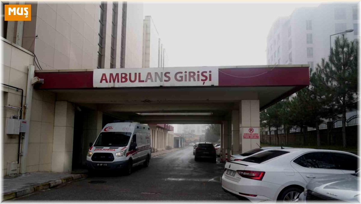 Muş'ta otomobilin çarptığı bir kişi hayatını kaybetti