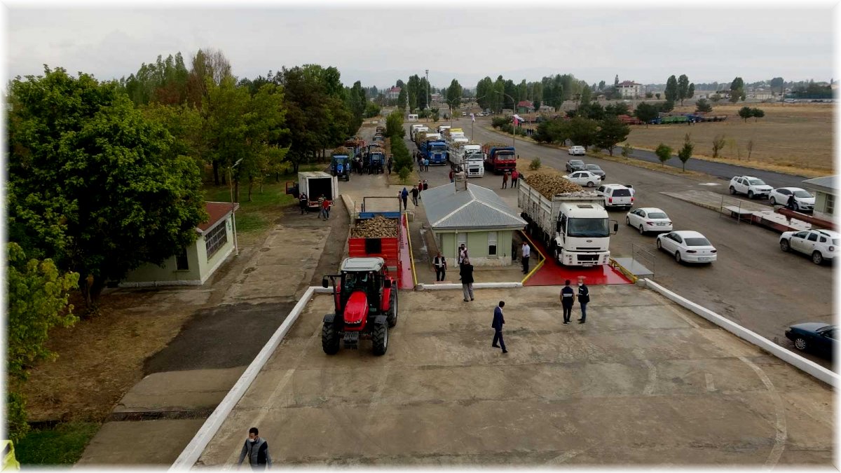 Muş'ta pancar alım kampanyası başladı