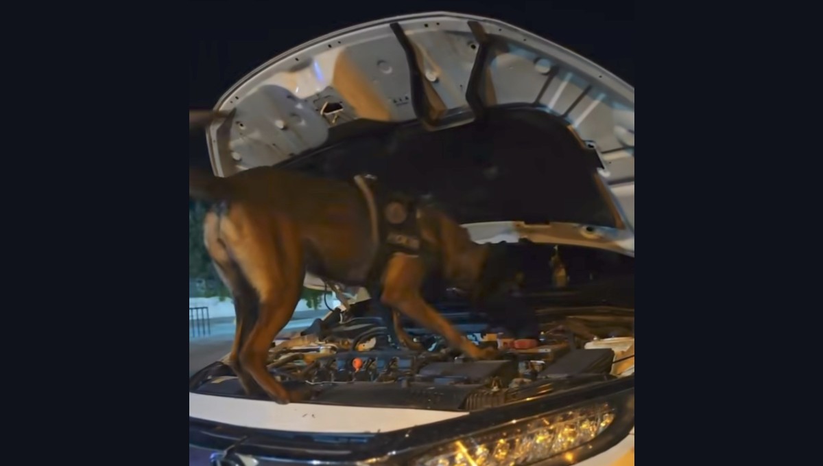 Muş'ta polis ekiplerinden suç ve suçlulara geçit yok