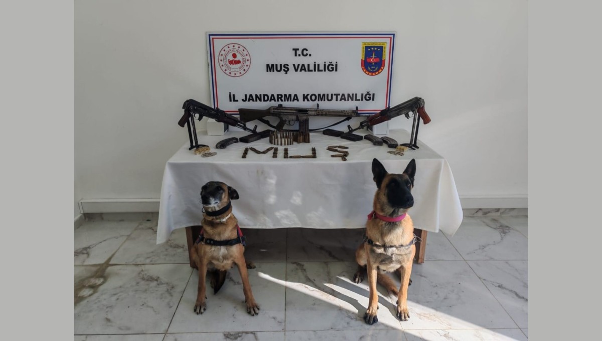 Muş'ta ruhsatsız 3 uzun namlulu silah ele geçirildi