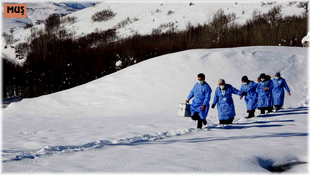 Muş'ta sağlık çalışanları aşı için karlı dağları aşıyor