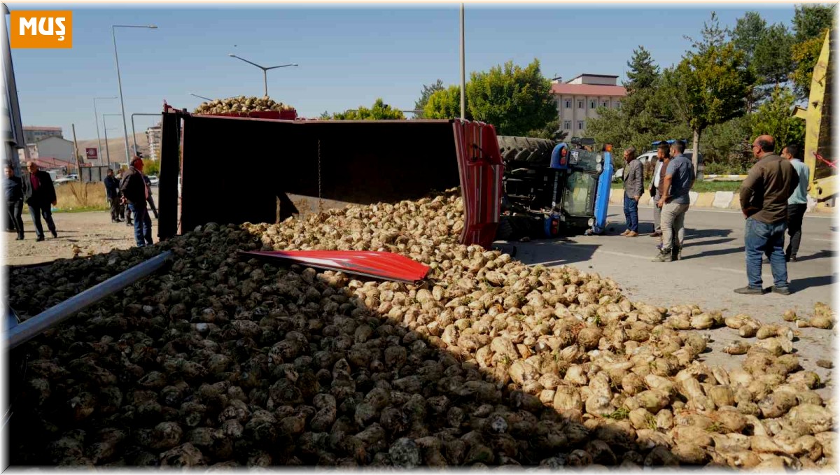 Muş'ta şeker pancarı yüklü traktör devrildi