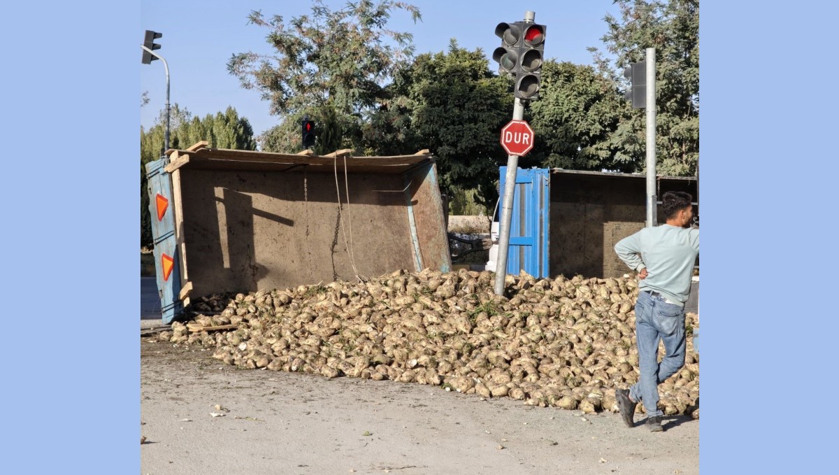 Muş'ta şeker pancarı yüklü traktör devrildi