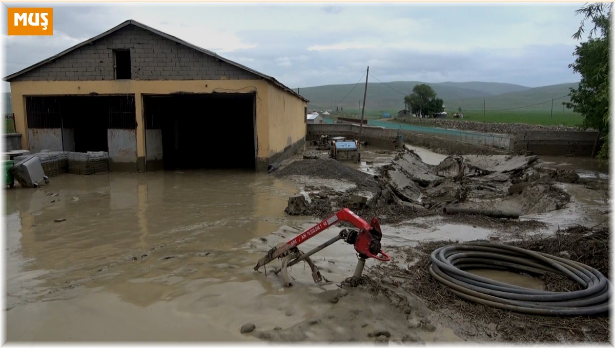Muş'ta selde köprü yıkıldı, 5 araç ve 35 ev hasar gördü