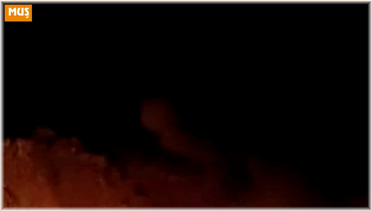 Muş'ta seyir halindeki kamyonet alev aldı