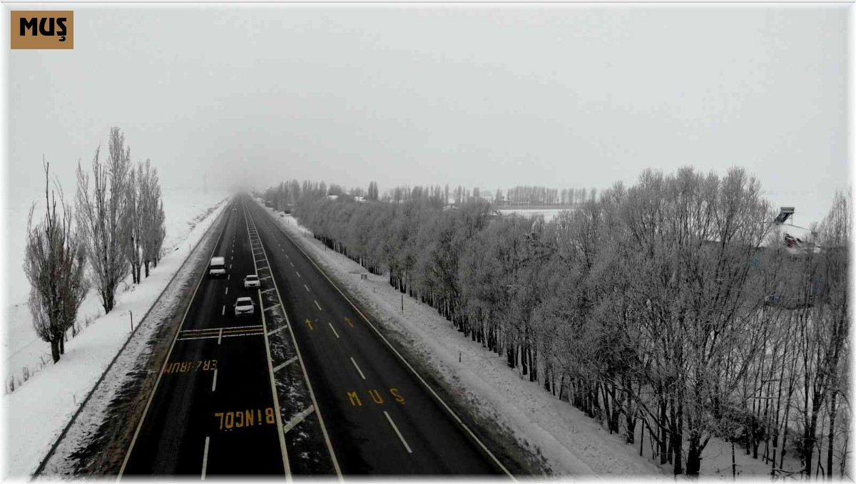 Muş'ta Sibirya soğukları