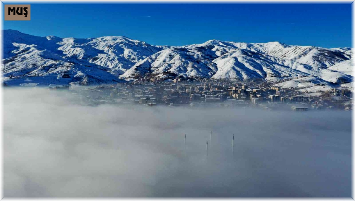 Muş'ta sisle gelen eşsiz manzara