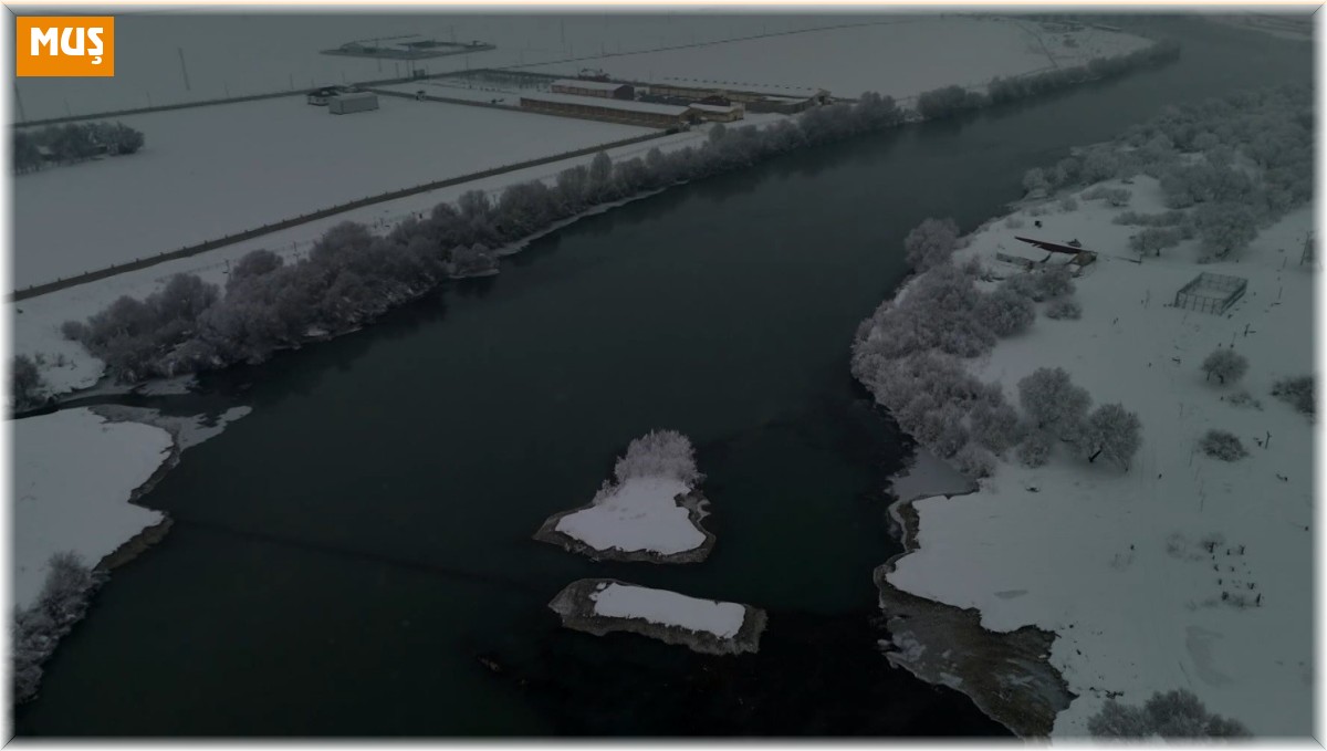 Muş'ta soğuklar hayatı olumsuz etkilerken, doğa eşsiz görüntüler sundu
