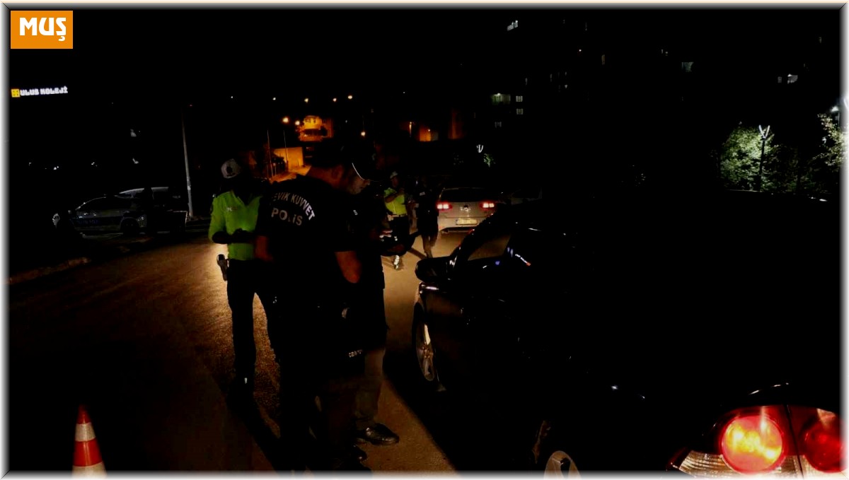 Muş'ta şok uygulama: 297 şahıs sorgulandı