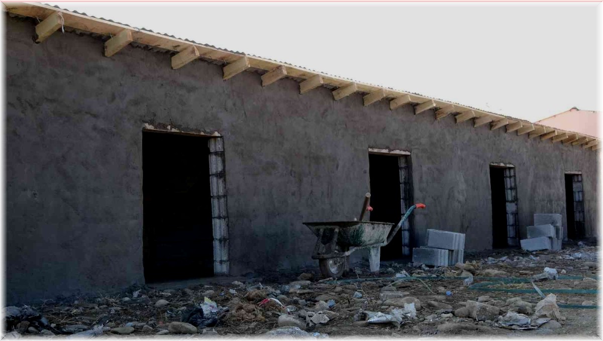 Muş'ta sokak hayvanları için beslenme alanları ve barınaklar inşa edildi