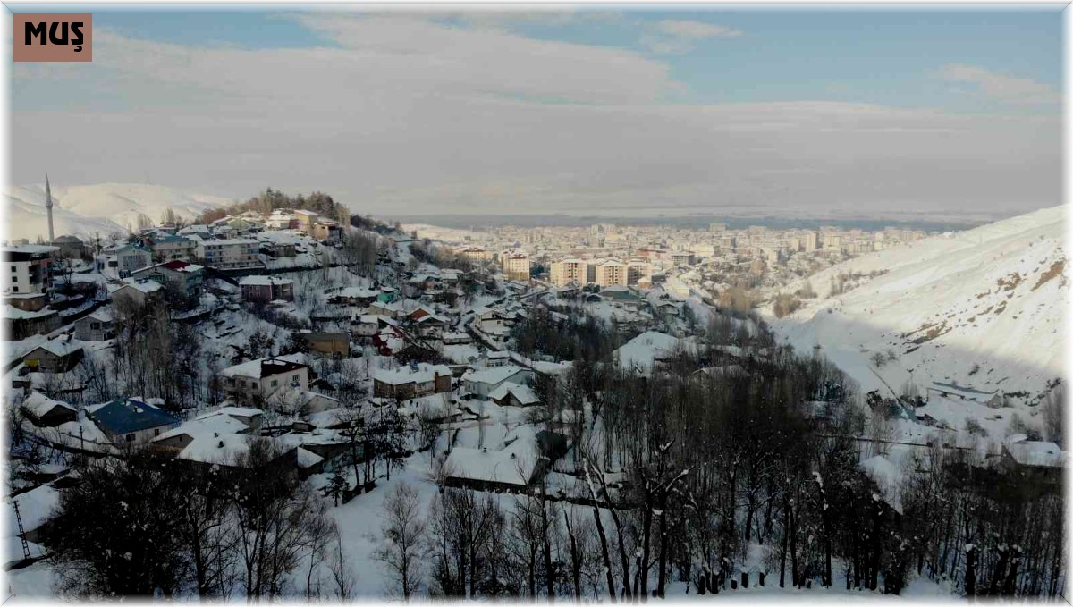 Muş'ta tek katlı evler kara gömüldü