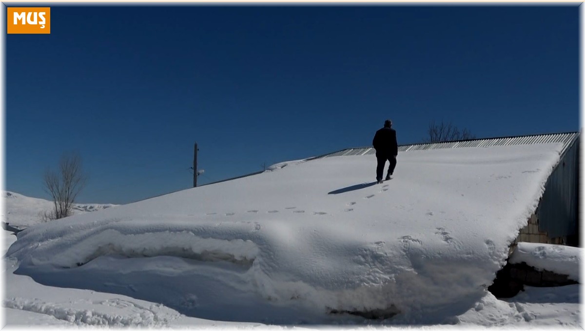 Muş'ta tek katlı evler ve ahırlar kara gömüldü
